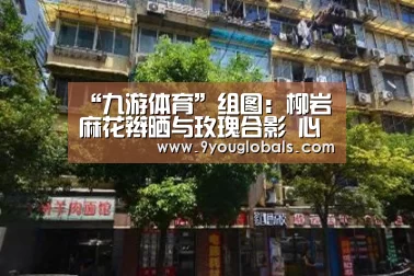 “九游体育”组图:柳岩麻花辫晒与玫瑰合影 心系粉丝被赞温暖窝心(图1) 九游体育