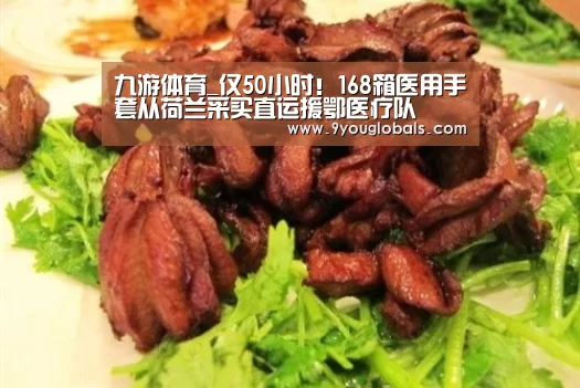 九游体育_仅50小时!168箱医用手套从荷兰采买直运援鄂医疗队(图2) 九游体育